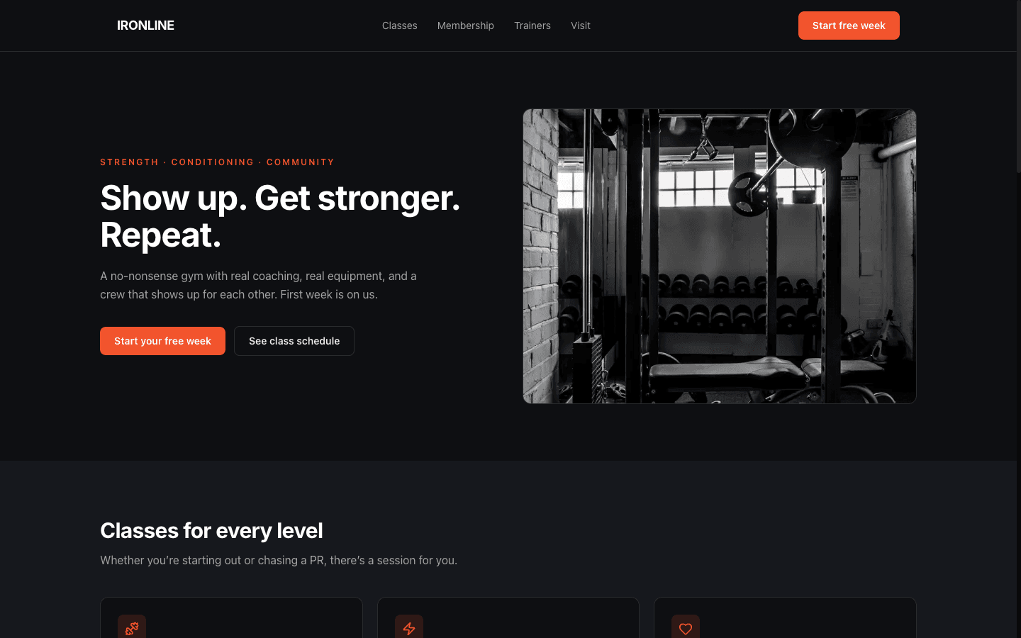 Ironline Gym template preview