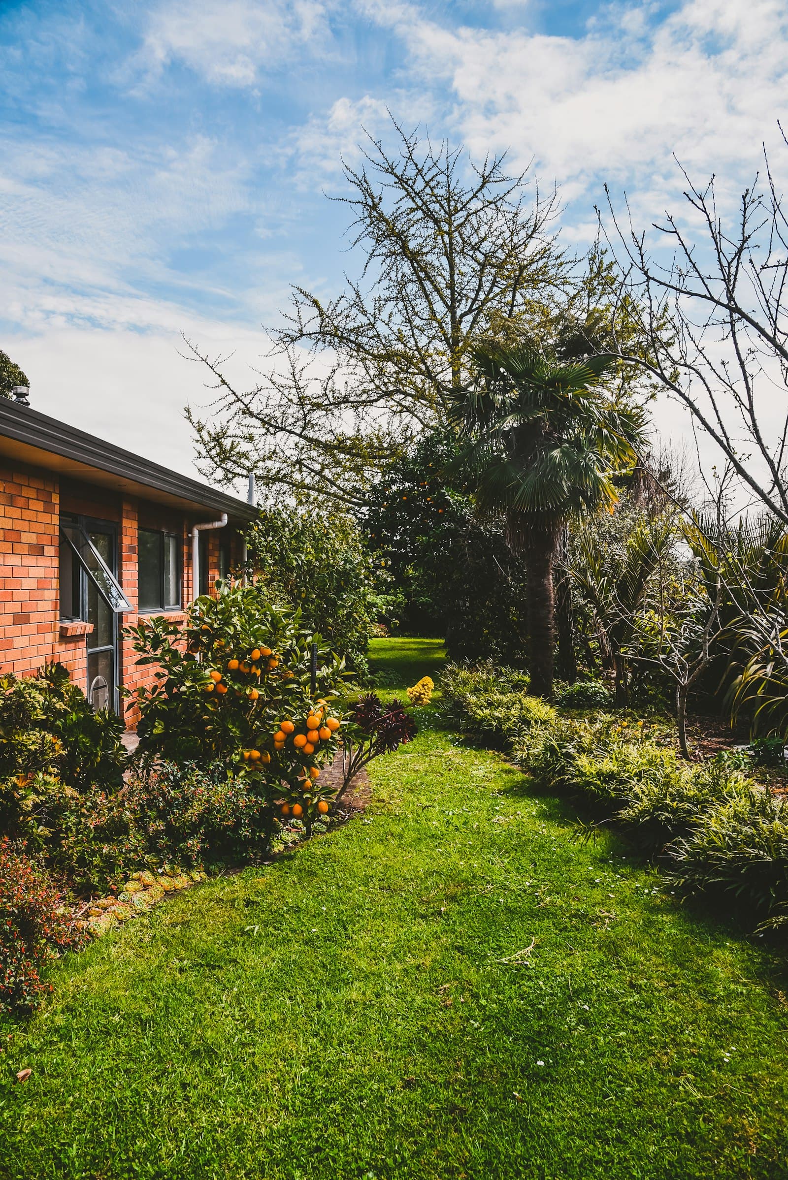 A planted path running alongside a house