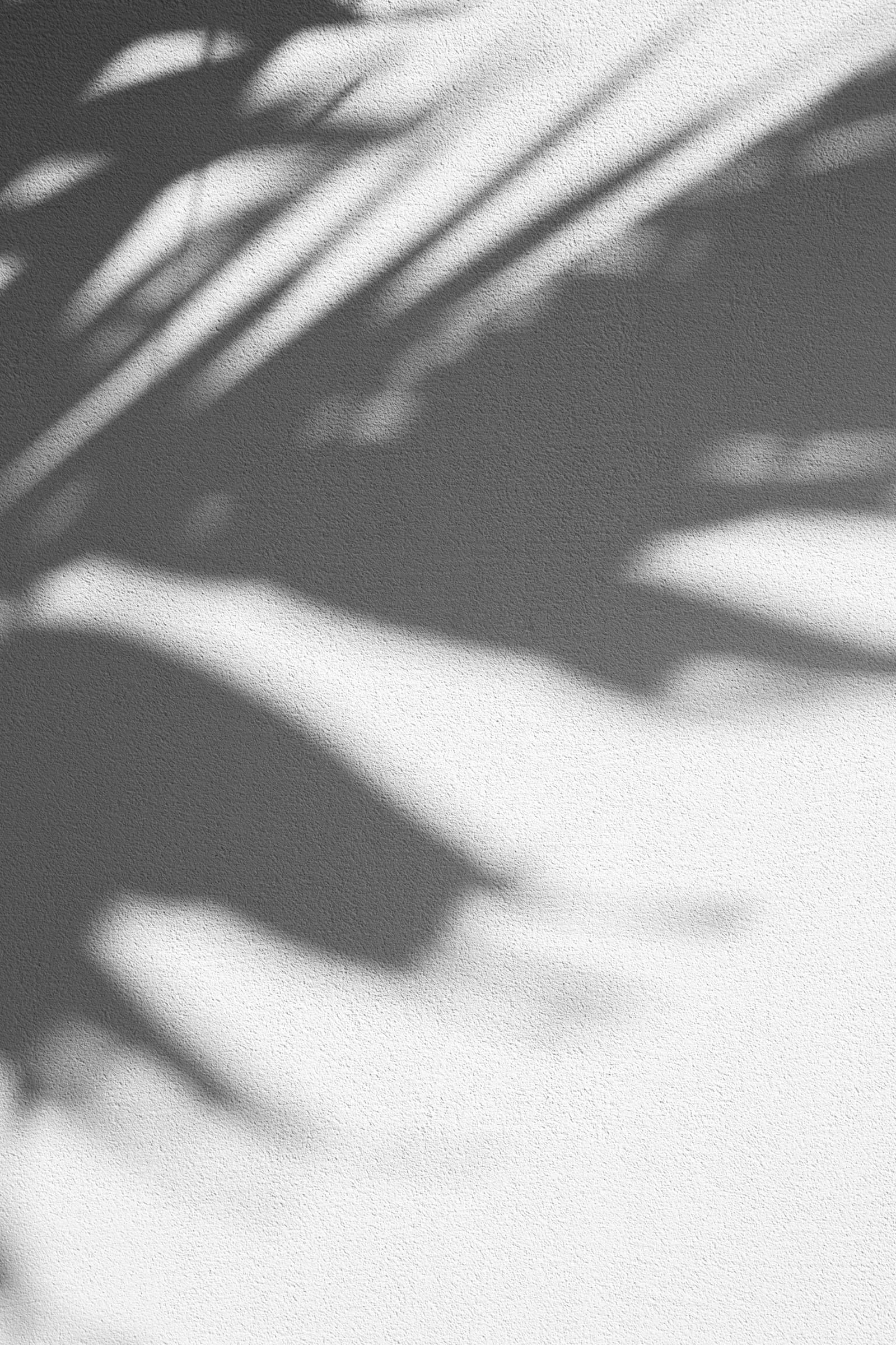 Leaf shadows falling across a plain wall