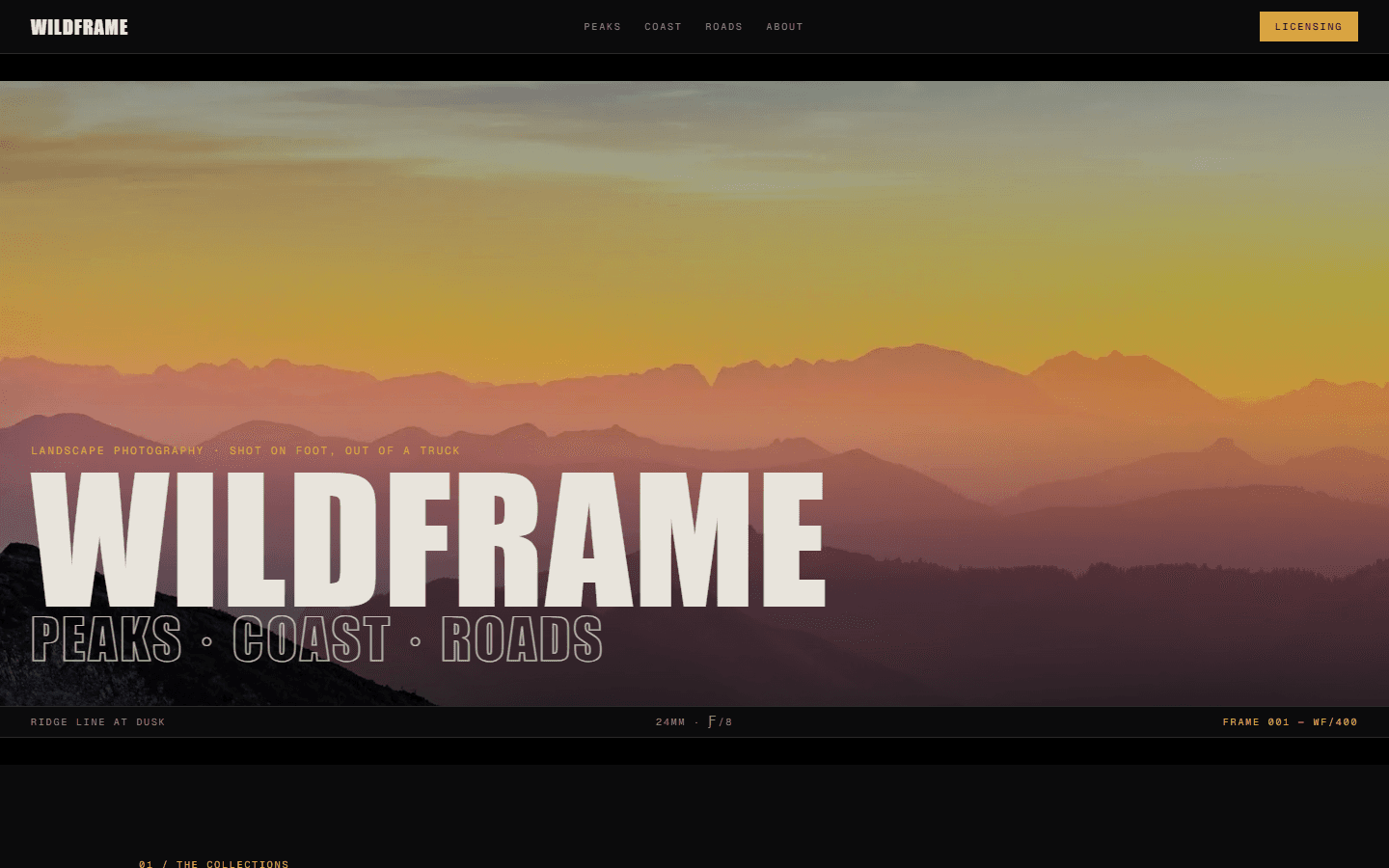 Wildframe template preview