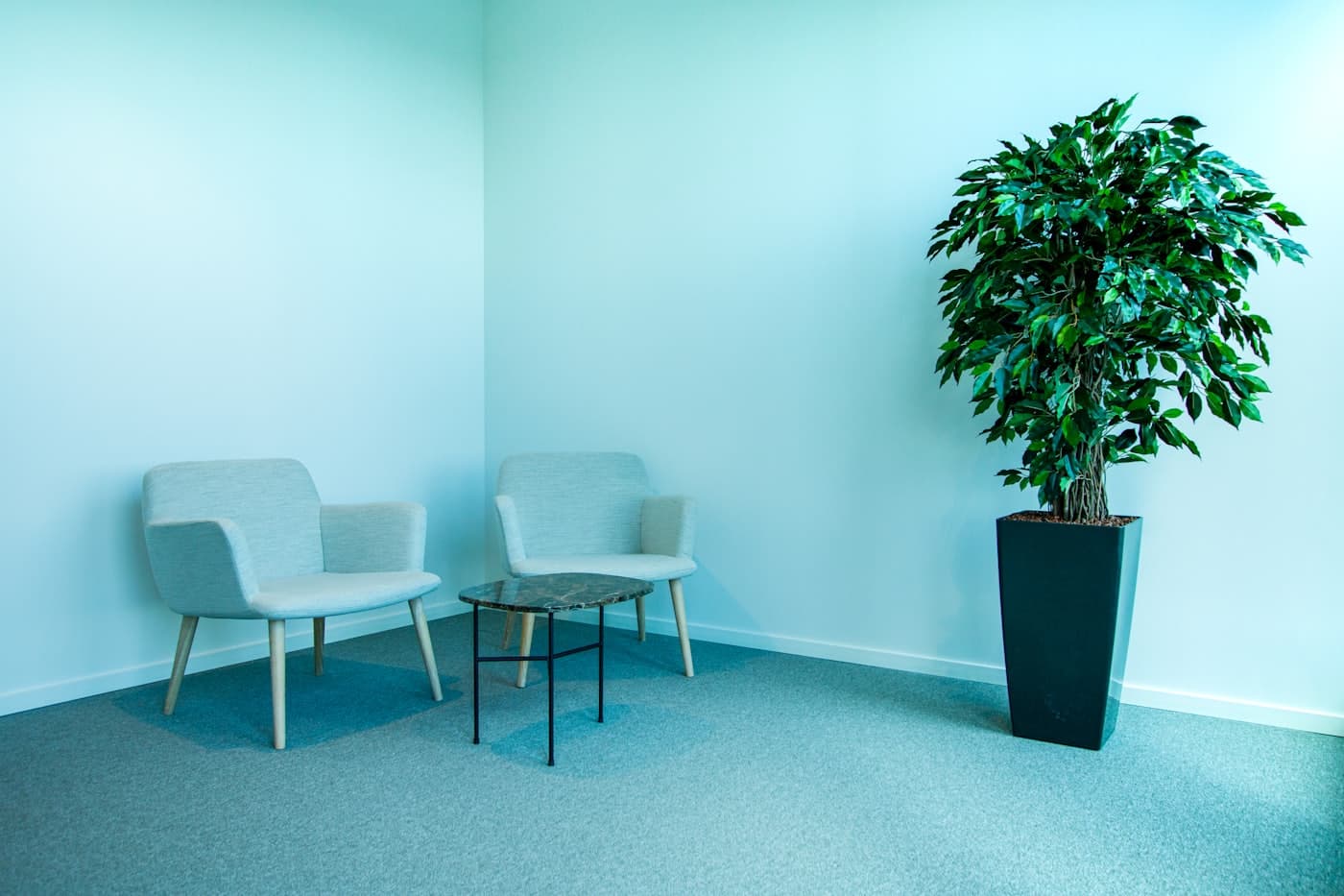 Quiet waiting corner with two soft armchairs and a tall plant