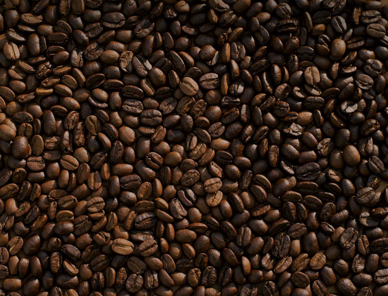 Roasted coffee beans filling the frame