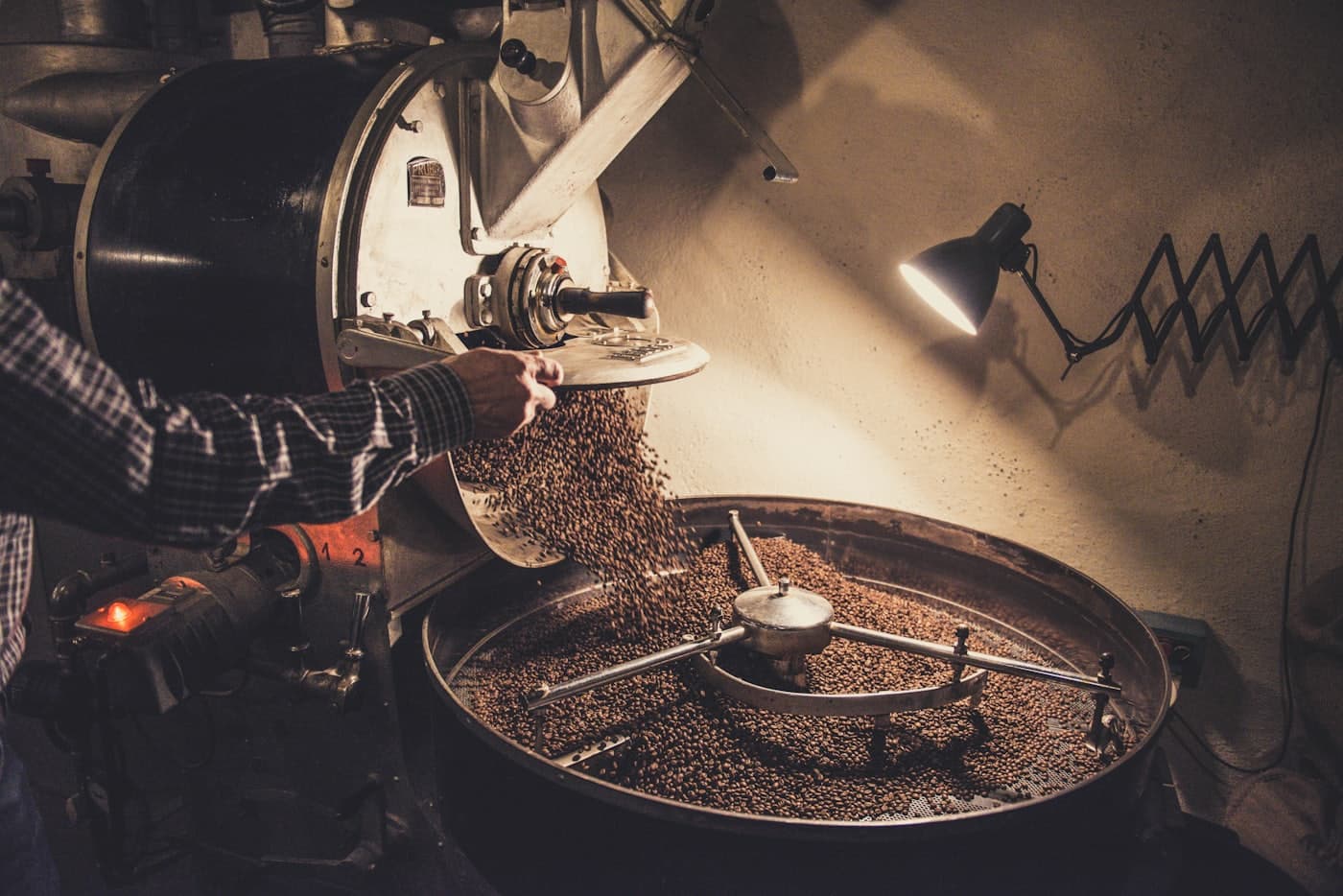 Roasted beans pouring out of a drum roaster into the cooling tray