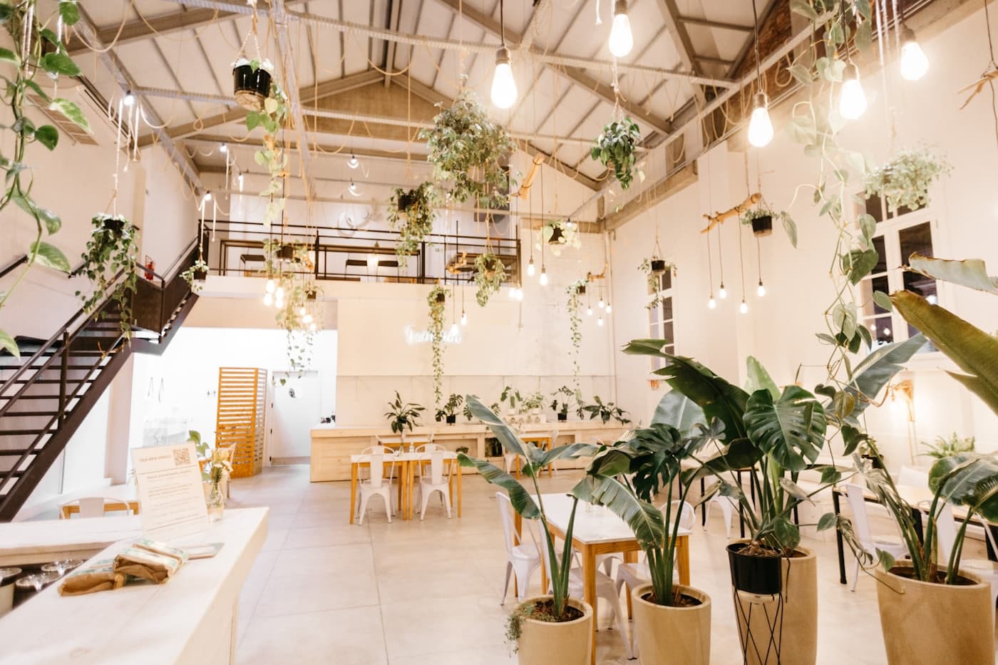 Bright cafe interior with long wooden tables and hanging plants